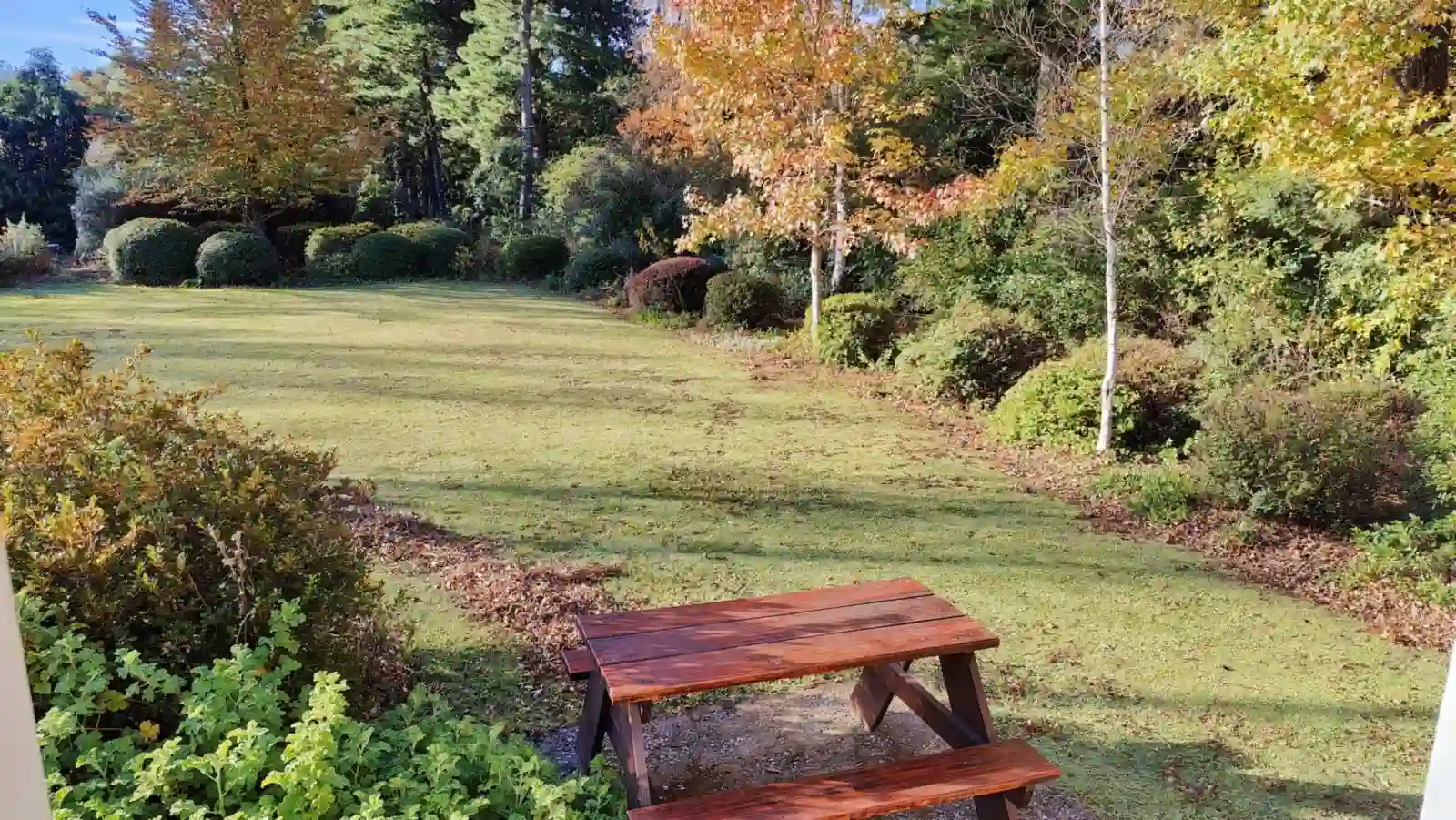 Appletree view 1